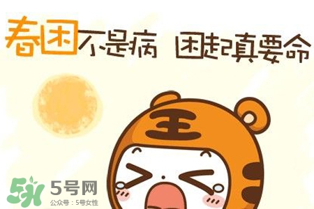 春困煲什么湯好？春困煮什么湯好的快？