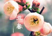 立春后種什么花？立春時開的花有哪些？