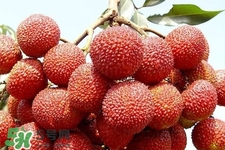 孕期吃荔枝會流產嗎？孕婦吃荔枝會好嗎？
