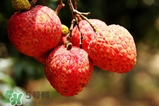 坐飛機(jī)能帶荔枝嗎？荔枝可以帶上飛機(jī)嗎？