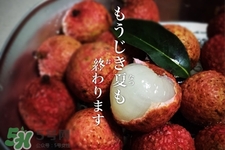 坐飛機(jī)能帶荔枝嗎？荔枝可以帶上飛機(jī)嗎？