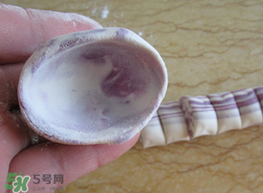 湯圓皮怎么做不破裂？湯圓皮怎么做耐煮？