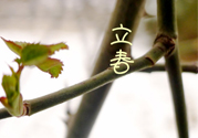 為什么春天容易生??？春天容易生什么病？