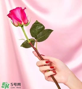 kate spade2017情人節(jié)包包多少錢(qián)？凱特絲蓓2017情人節(jié)包包哪里買(mǎi)？