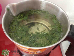 香菜煮水洗腎是真的嗎？香菜煮水洗腎是真的嗎
