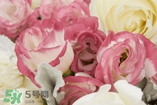 七夕情人節(jié)有必要送花嗎？情人節(jié)為什么要送花？
