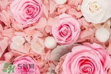 鮮花可以放多久？鮮花可以保存幾天？