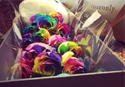 roseonly鮮花多少錢？roseonly永生花多少錢？
