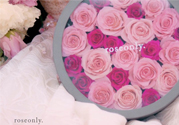 roseonly只能買一次嗎？roseonly如何送第二人？