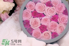 情人節(jié)可以送粉玫瑰嗎？情人節(jié)送粉玫瑰好嗎？