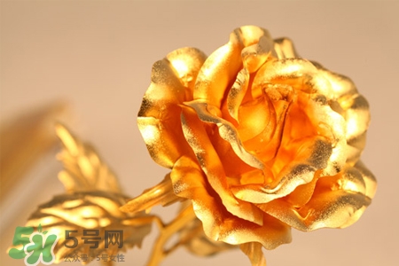 情人節(jié)可以送金玫瑰嗎？情人節(jié)送金玫瑰好嗎？