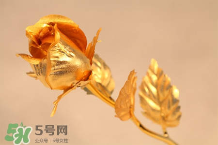 情人節(jié)可以送金玫瑰嗎？情人節(jié)送金玫瑰好嗎？