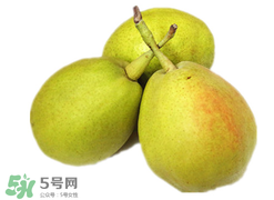 香梨多少錢一斤？香梨怎么挑選？