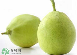 香梨多少錢一斤？香梨怎么挑選？