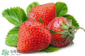 小孩多吃草莓好嗎？小孩可以摘草莓嗎？