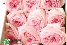 鮮花怎么養(yǎng)？鮮花怎么養(yǎng)放的比較久？