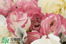 鮮花怎么養(yǎng)？鮮花怎么養(yǎng)放的比較久？
