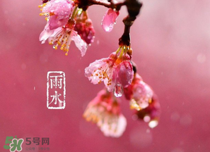 雨水吃什么？雨水節(jié)氣飲食禁忌？