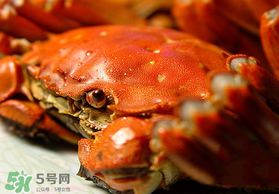 春天的螃蟹能吃嗎？開春后大閘蟹能吃嗎？