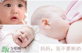 春天可以斷奶嗎？春天幾月份斷奶比較好？