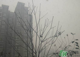 霧霾天開(kāi)空調(diào)會(huì)不會(huì)污染室內(nèi)空氣？