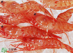 凍蝦能放多久？凍蝦放冰箱冷藏多久？