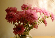 鮮花怎么養(yǎng)？鮮花怎么養(yǎng)放的比較久？