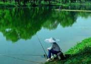 春天釣魚(yú)用什么餌料？春天釣魚(yú)用腥還是香？