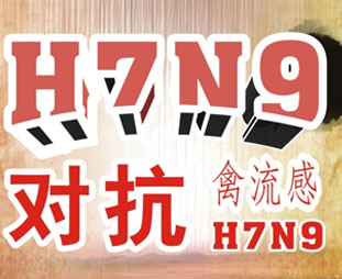 禽流感期間吃什么？預防禽流感吃什么好？