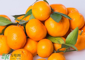 桔子批發(fā)多少錢一斤？桔子多少錢一斤？