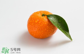 桔子批發(fā)多少錢一斤？桔子多少錢一斤？