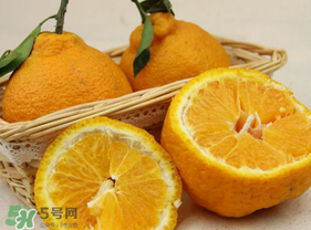 丑橘少錢一斤？丑橘一斤幾個？