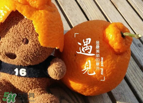 丑橘少錢一斤？丑橘一斤幾個？