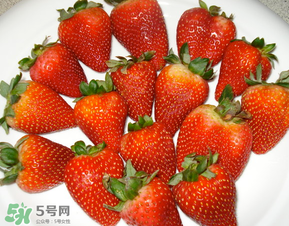 奶油草莓是什么品種？奶油草莓和巧克力草莓的區(qū)別 