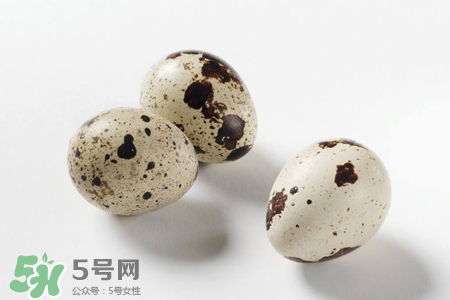 禽流感可以吃鵪鶉蛋嗎？禽流感期間能吃鵪鶉蛋嗎？