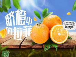 給寶寶吃臍橙好還是血橙好？臍橙好吃還是血橙好吃？