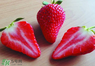 九九草莓多少錢一斤？99草莓價格是多少？