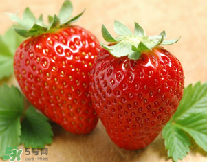 九九草莓好嗎？九九草莓和牛奶草莓區(qū)別 