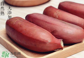 紅色香蕉和黃香蕉哪個(gè)好？紅香蕉和普通香蕉的區(qū)別