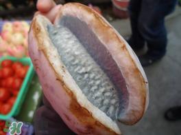野香蕉可以吃嗎？野香蕉怎么吃？