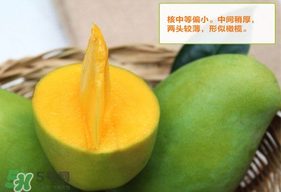青芒果硬的能吃嗎？青芒果沒熟能吃嗎？