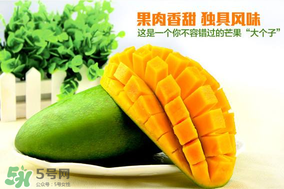 青芒果硬的能吃嗎？青芒果沒熟能吃嗎？