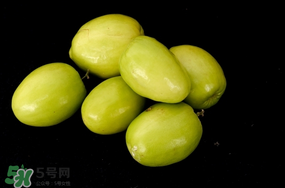 青棗什么時(shí)候上市？青棗什么時(shí)候成熟？