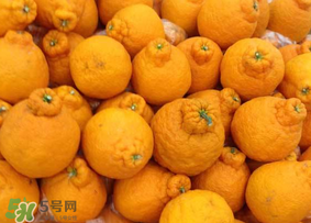 丑橘是轉基因嗎？丑八怪是轉基因的嗎？