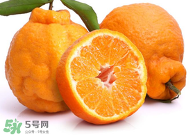 丑橘是轉基因嗎？丑八怪是轉基因的嗎？