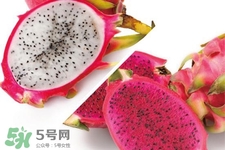 3月份有火龍果吃嗎？三月份可以吃火龍果嗎？