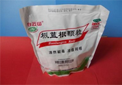 預(yù)防禽流感吃什么藥？板藍(lán)根可以預(yù)防禽流感嗎？