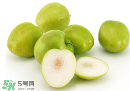 青棗可以泡酒嗎？青棗泡酒喝有什么好處？