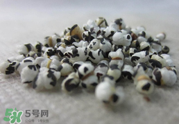穿山甲下奶怎么吃？穿山甲下奶效果好嗎？