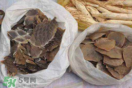 穿山甲下奶怎么吃？穿山甲下奶效果好嗎？
